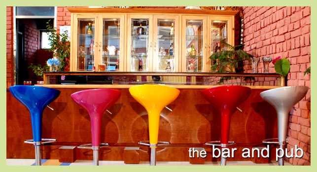 Bar in Jaipur